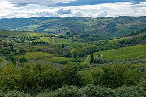 Rollende grüne Landschaft der Toskana, Italien