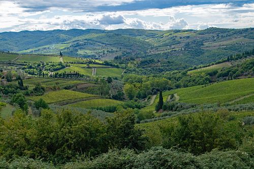 Glooiende groene landschap van Toscane, Italië