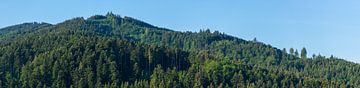 Duitsland, XXL breed natuurlandschap van zwart woud op zonnige dag van adventure-photos