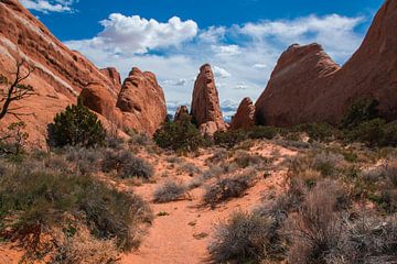 Devils Garden in Arches National Park, USA by Rietje Bulthuis