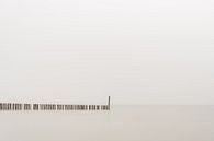 Neblige Küste von Peter Deschepper Miniaturansicht