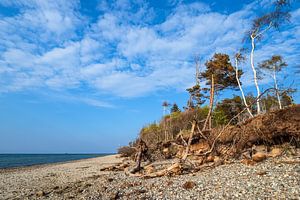 Landschaft an der Küste der Ostsee in Graal-Müritz