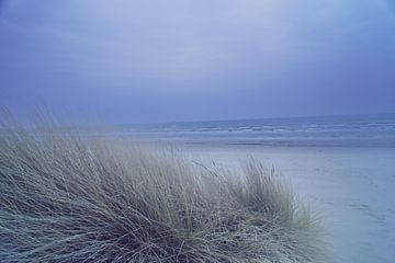 Kustlandschap met duingras op de voorgrond en golven op de achtergrond.