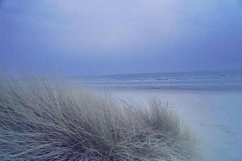 Kustlandschap met duingras op de voorgrond en golven op de achtergrond.