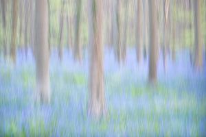 Symfonie in blauw