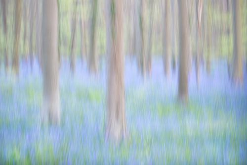 Symphony in blue