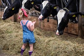 Girl among cows by Lyssanne Ponsteen-Willems