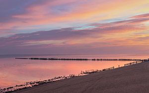 Ein farbenfrohes Wattenmeer