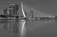 Skyline of Rotterdam with Erasmus Bridge in black and white.