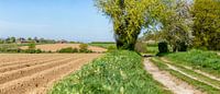 Aardappelvelden in Zuid-Limburg van John Kreukniet thumbnail