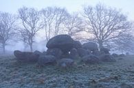 Hunebed of Loon on a foggy morning by Karla Leeftink thumbnail