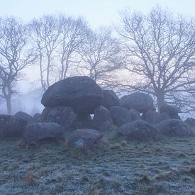 Hunebed de Loon par un matin brumeux sur Karla Leeftink