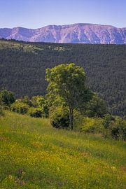 Vue imprenable sur la chaîne du Cadi depuis La Cerdagne, en Catalogne sur PhotoCluster