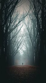 Misty woods van laura van de Mast