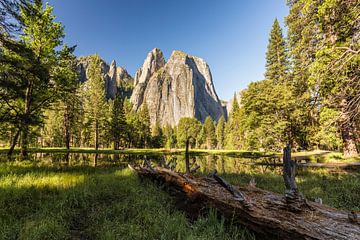 Kathedraal - Yosemite National Park van Thomas Klinder