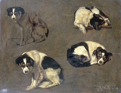 Vier studies van een hond, Guillaume Anne van der Brugghen