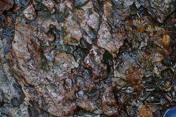 Felsen 1.4