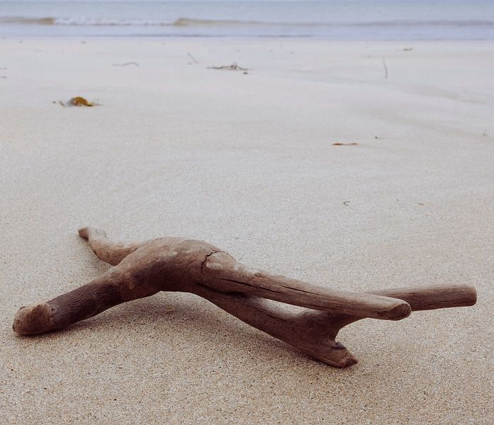 natuurschatten op het strand van Nienke Stegeman