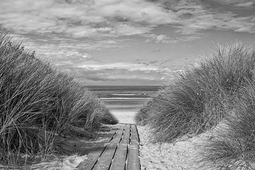 Beach crossing by Zeeland op Foto