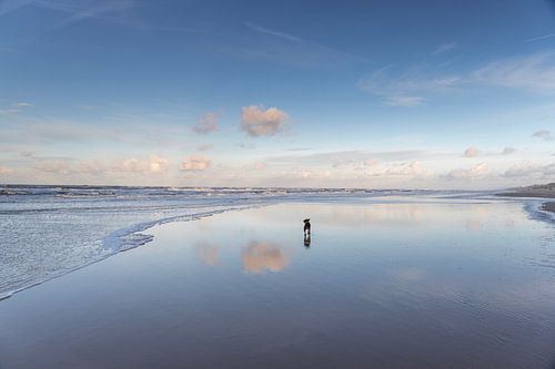 Dog and cloud by Jaap Spaans