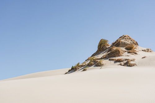 Dune silencieuse sur Claire van Dun