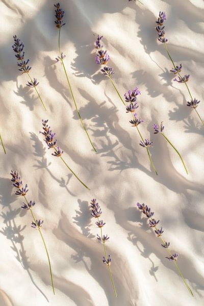 Lavender shade by Poster Art Shop