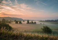 Plaines d'inondation de Lienden