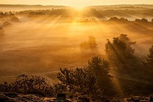 Morgenglühen, Brunssummerheide