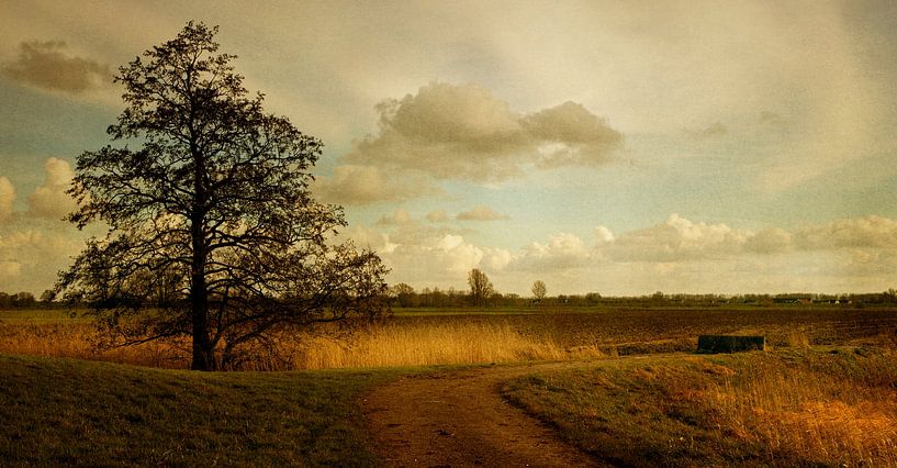 Landschaft am Lek von Marijke van Loon