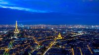 Vue de la Tour Eiffel et de l'Hôtel des Invalides.