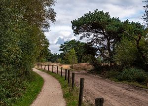 De Strabrechtse Heide