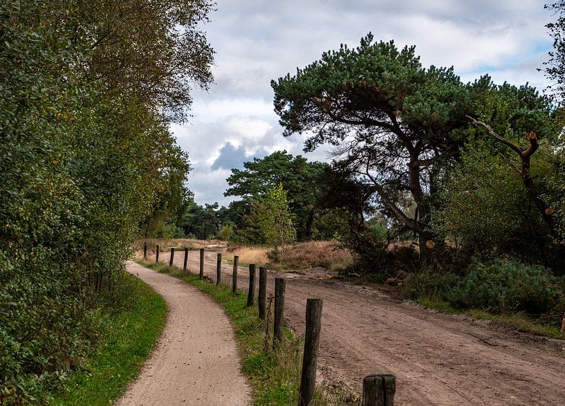 The Strabrechtse Heide by Ingrid Aanen