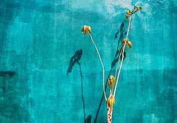 Lichtspel op een groene muur