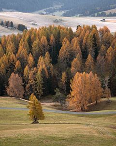 Herbst in den Dolomiten