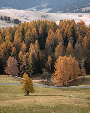 Herfst in de Dolomieten