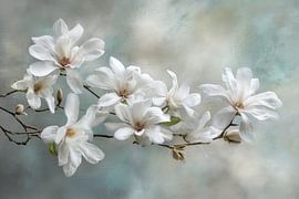 Magnolia Tak Wit -  Zachte Bloesemkunst van Joriali Fine Art