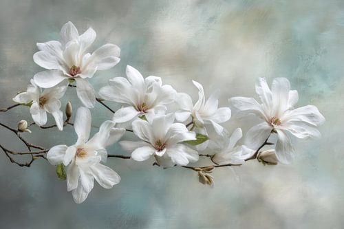Magnolia Tak Wit -  Zachte Bloesemkunst