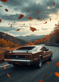ford mustang 1969 by gil an