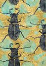 Beetles on gold by Jadzia Klimkiewicz thumbnail