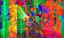 Dornen von Matthias Rehme