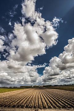 Wolkenlucht en landbouwlijnen nabij OudeBildtzijl in het noorden van Friesland