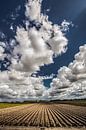 Wolkenlucht en landbouwlijnen nabij OudeBildtzijl in het noorden van Friesland von Harrie Muis Miniaturansicht