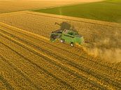 Combine die tarwe oogst in de zomer, van bovenaf gezien van Sjoerd van der Wal Fotografie thumbnail