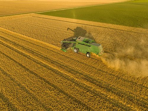 Combine die tarwe oogst in de zomer, van bovenaf gezien