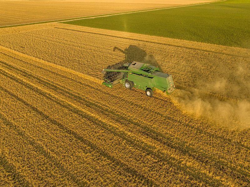 Combine die tarwe oogst in de zomer, van bovenaf gezien van Sjoerd van der Wal Fotografie