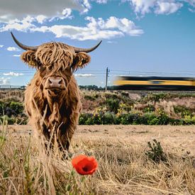 Néerlandais primitif sur Emiel de Lange