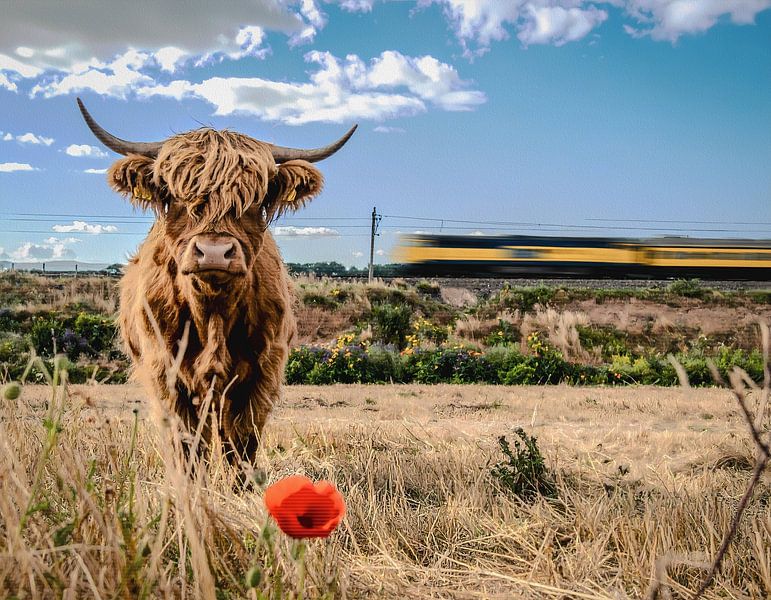 Primitive Dutch by Emiel de Lange