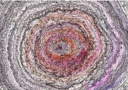 Lovingly tenderness van MY HAPPY SOUL ART thumbnail