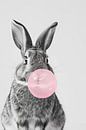 Rabbit blowing pink chewing gum bubble by Poster Art Shop thumbnail