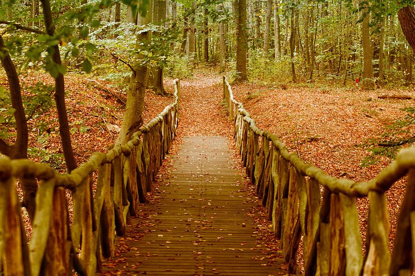 Landgoed Elswout von Peter Bartelings